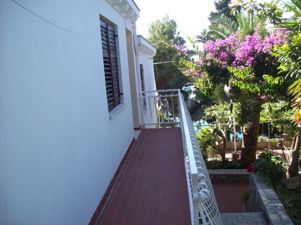 Captain'S Villa Molunat Δωμάτιο φωτογραφία