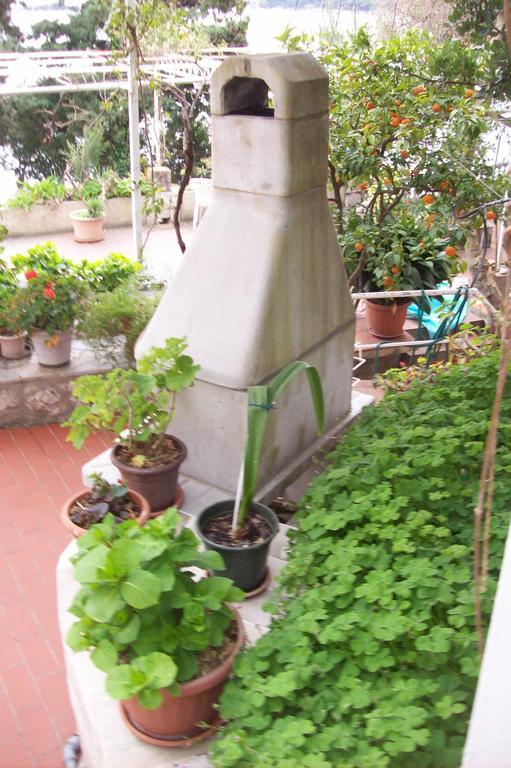Captain'S Villa Molunat Εξωτερικό φωτογραφία